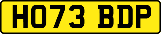 HO73BDP