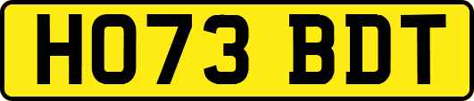 HO73BDT
