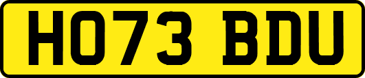 HO73BDU