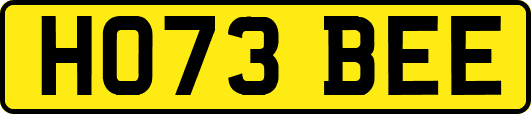 HO73BEE