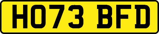 HO73BFD