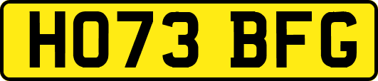 HO73BFG