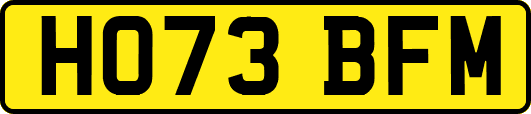 HO73BFM