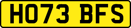 HO73BFS