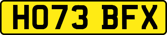 HO73BFX