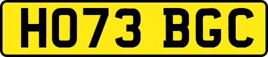 HO73BGC