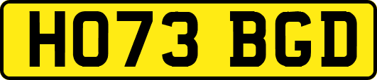 HO73BGD