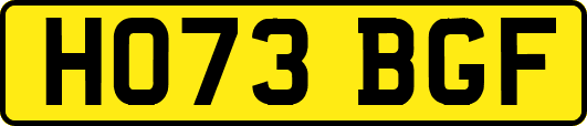 HO73BGF