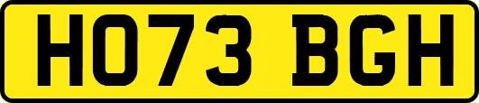 HO73BGH