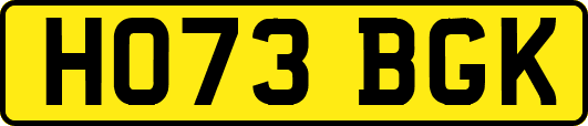 HO73BGK