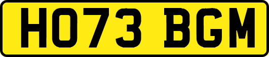 HO73BGM