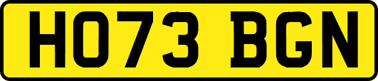 HO73BGN