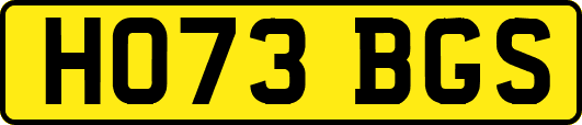 HO73BGS