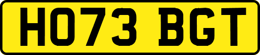 HO73BGT