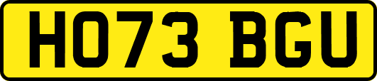HO73BGU