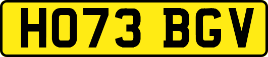 HO73BGV