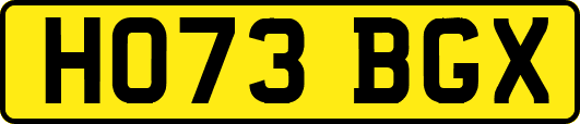 HO73BGX