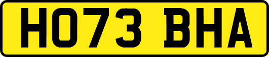 HO73BHA