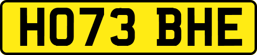 HO73BHE