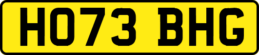 HO73BHG