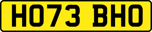 HO73BHO