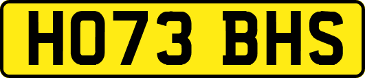 HO73BHS