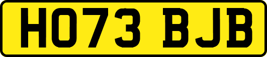 HO73BJB