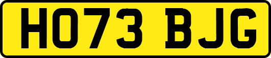 HO73BJG