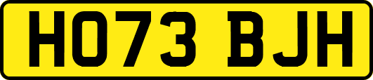 HO73BJH