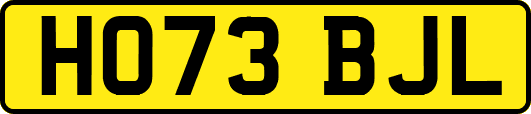 HO73BJL