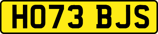 HO73BJS