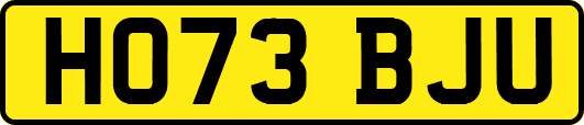 HO73BJU