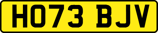 HO73BJV