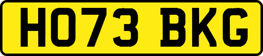 HO73BKG