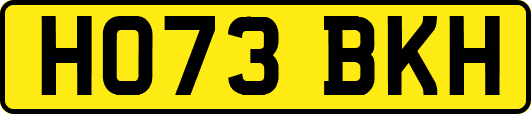 HO73BKH
