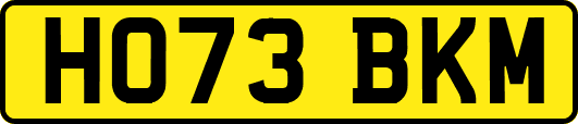 HO73BKM