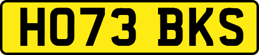 HO73BKS
