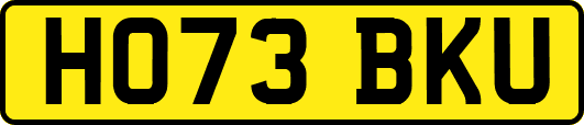 HO73BKU