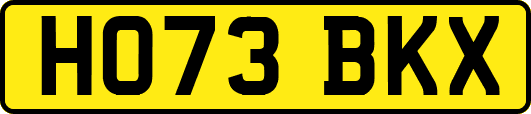 HO73BKX