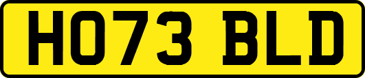 HO73BLD