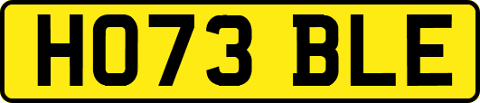 HO73BLE