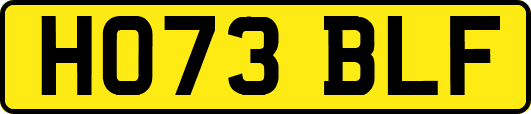HO73BLF