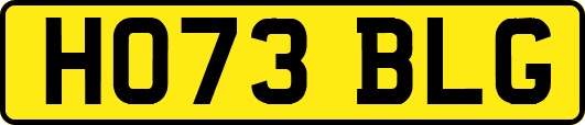 HO73BLG
