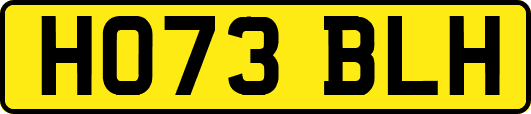 HO73BLH