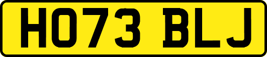 HO73BLJ