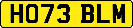 HO73BLM