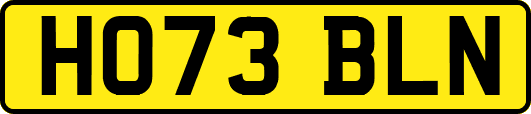 HO73BLN