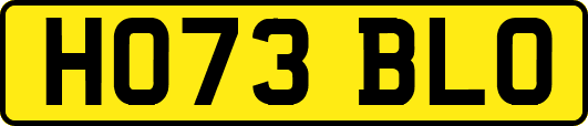 HO73BLO