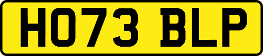 HO73BLP