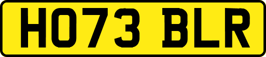 HO73BLR